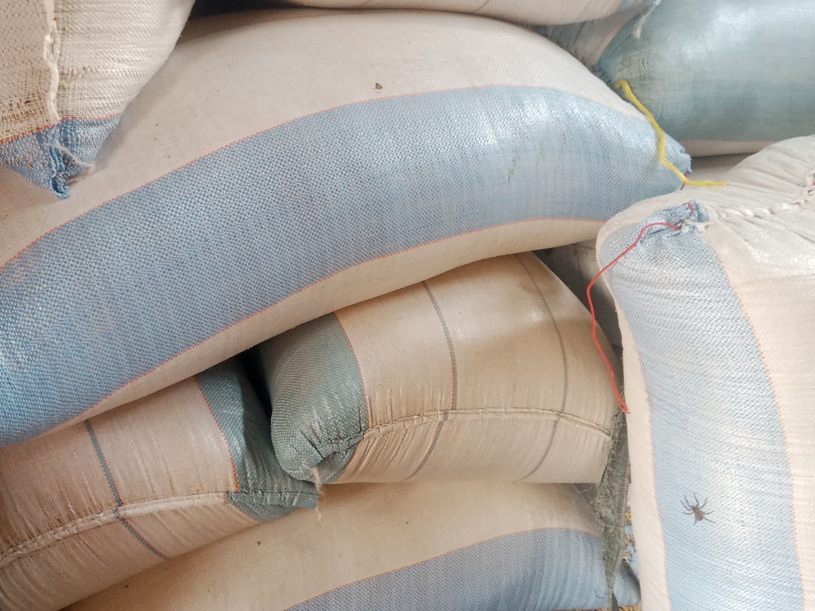 Help Me Start A Farm Produce Business